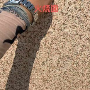 乐山黄金麻火烧面