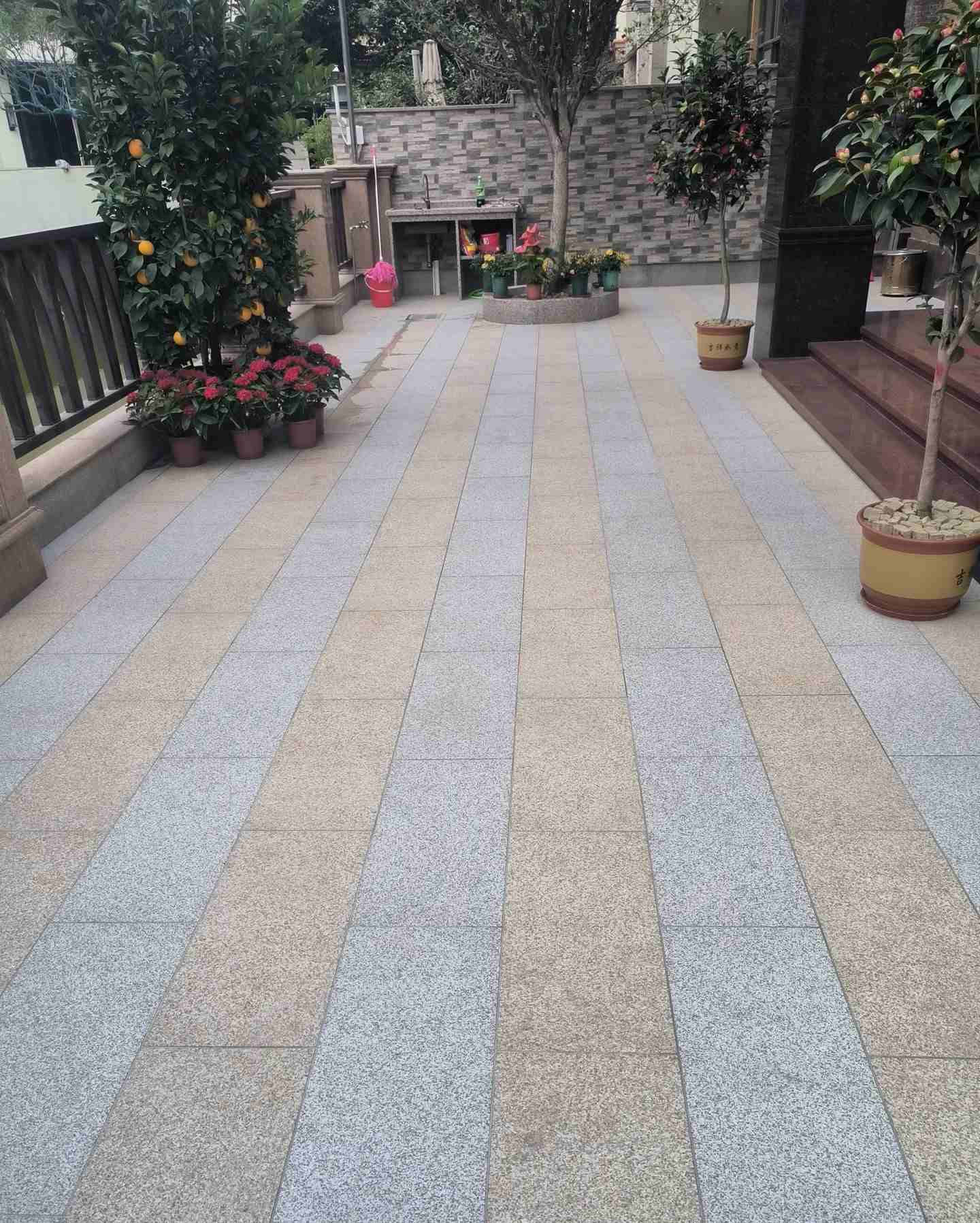 乐山 黄金麻白麻荔枝面庭院铺装展示