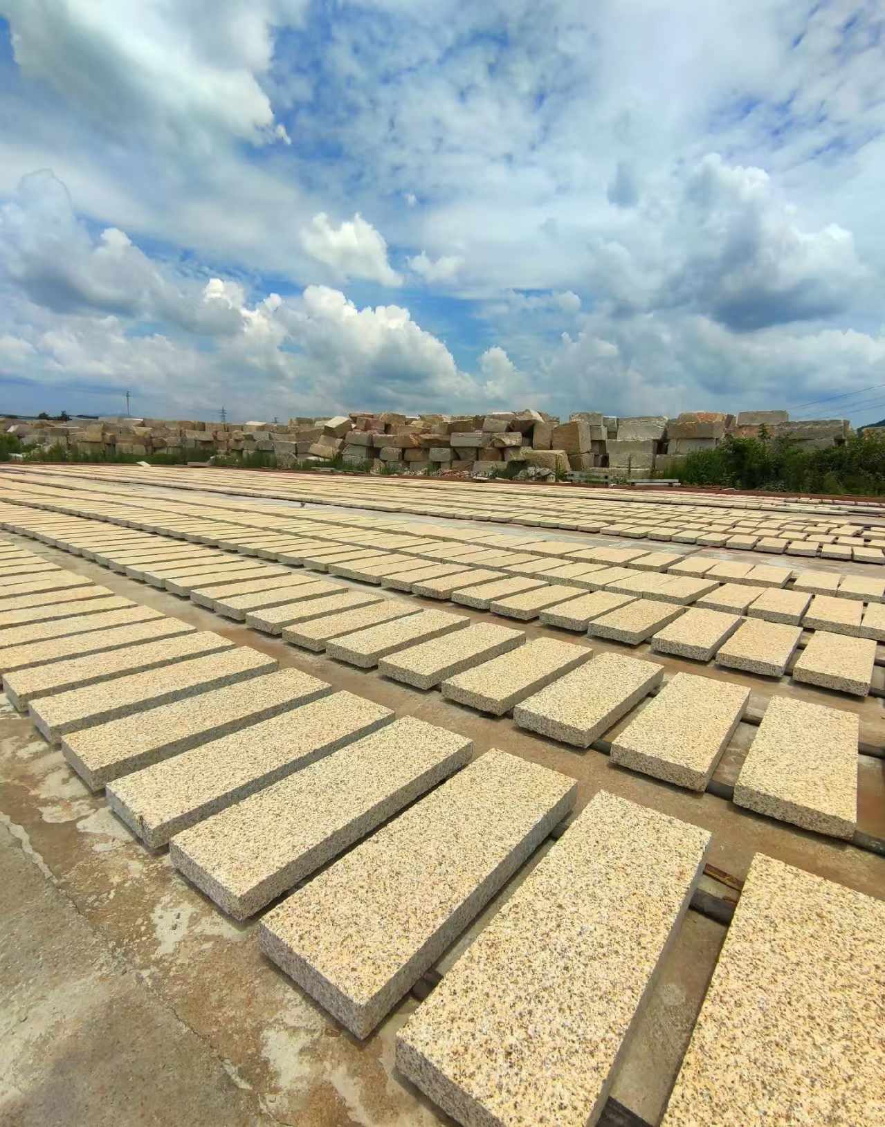 乐山 黄金麻荔枝面花岗岩石材地铺石防护中