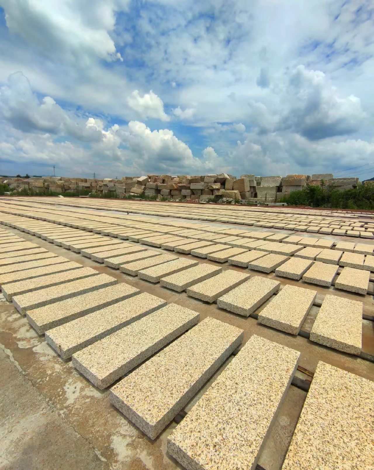 乐山 黄金麻花岗岩荔枝面地铺石防护中